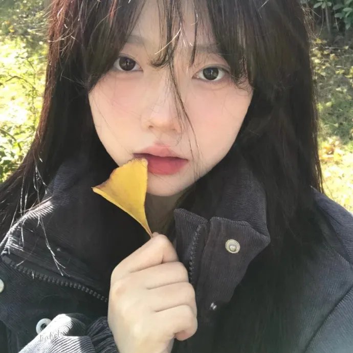 四季之春